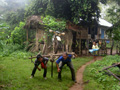 gal/08 - Last Moto Trip/_thb_RIMG2007.jpg